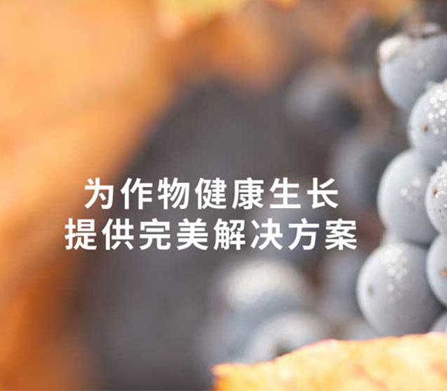 黑龍江康植農業科技有限公司